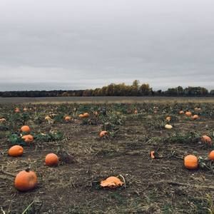 Meet your Posher, Lesley